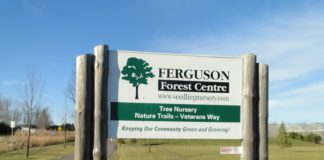 Ferguson Forest Centre
