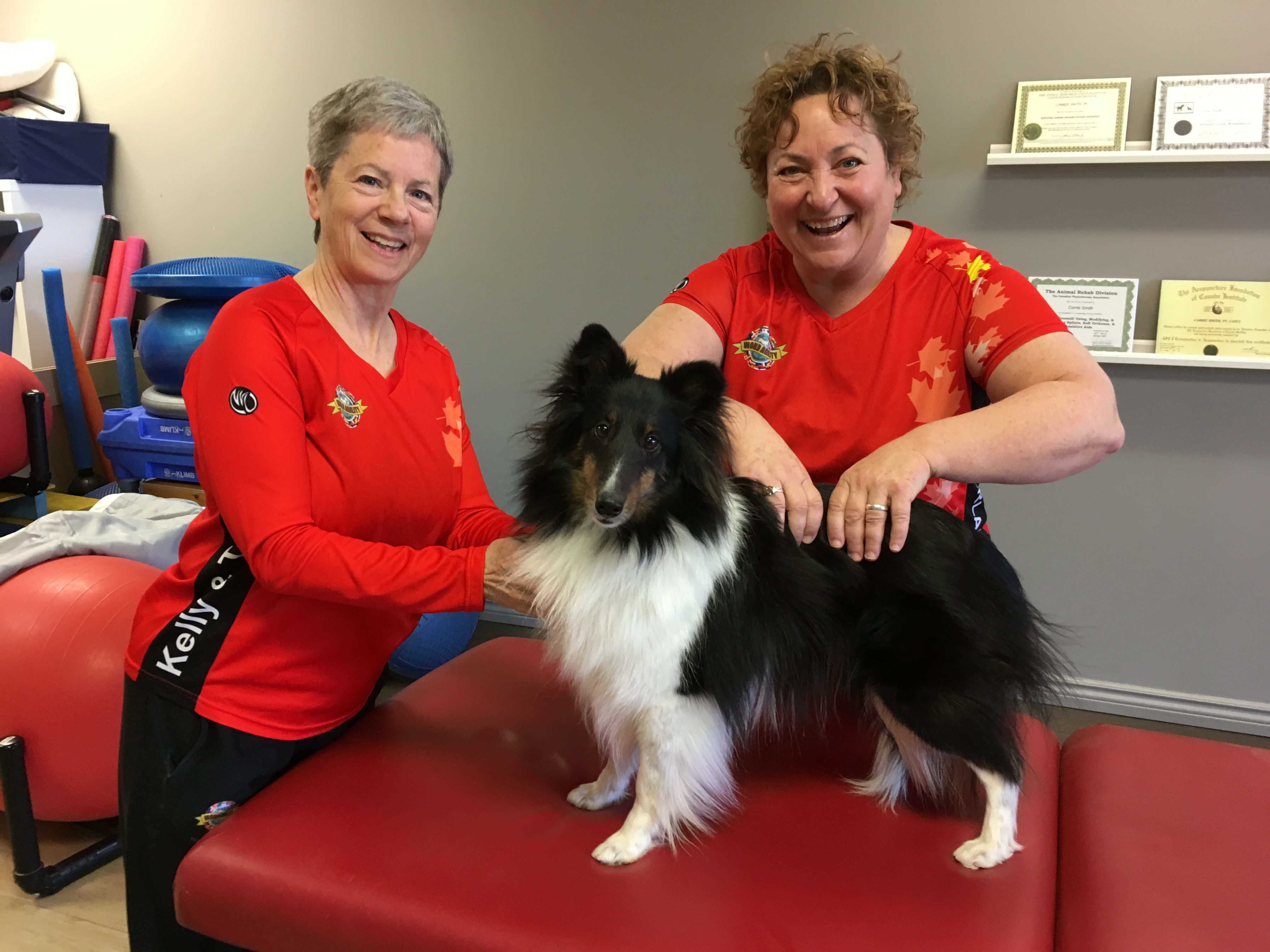 Kemptville Physiotherapy Centre