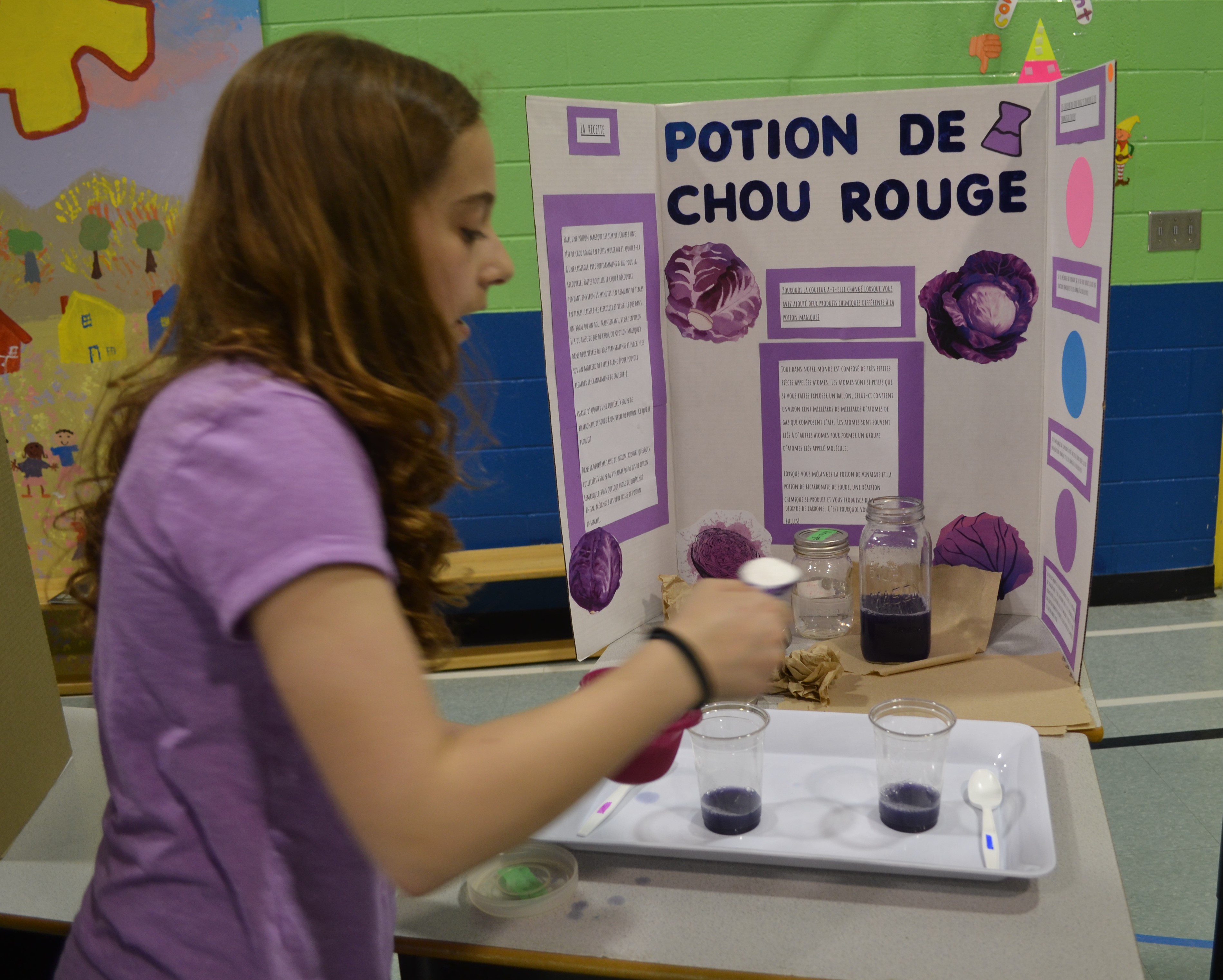 Science Fair at Sainte-Marguerite-Bourgeoys