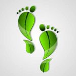 green-carbon-leaf-footprint