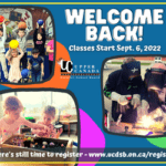 Welcome Back Ad – Big Box (300 × 250 px)
